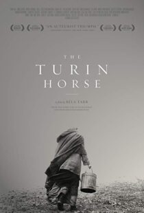 دانلود فیلم The Turin Horse 201110493-1060378985