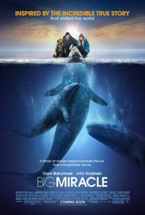 دانلود فیلم Big Miracle 201218814-2051188982