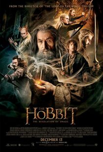 دانلود فیلم The Hobbit: The Desolation of Smaug 2013196262-1965563798