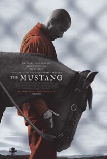 دانلود فیلم The Mustang 201910122-1952922052