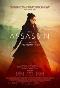 دانلود فیلم The Assassin 201513760-1890053126