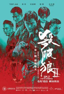 دانلود فیلم Kill Zone 2 20151845-739163132