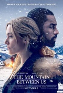 دانلود فیلم The Mountain Between Us 20172642-274833079
