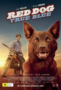 دانلود فیلم Red Dog: True Blue 20168899-1825882620