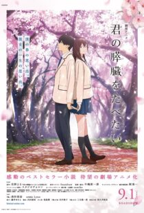 دانلود انیمه I Want to Eat Your Pancreas 201819747-1069261609