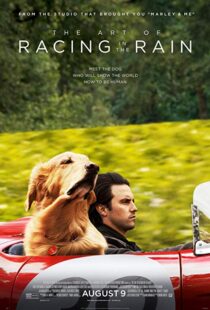 دانلود فیلم The Art of Racing in the Rain 201916633-282175564