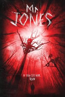 دانلود فیلم Mr. Jones 201337611-999692200