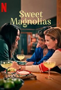 دانلود سریال Sweet Magnolias47511-649471479