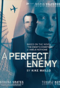 دانلود فیلم A Perfect Enemy 202082295-1866984603