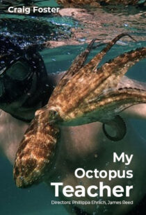 دانلود مستند My Octopus Teacher 202082343-544506644