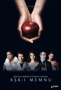 دانلود سریال Forbidden Love94309-383204936