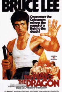 دانلود فیلم The Way of the Dragon 197297592-1643453700