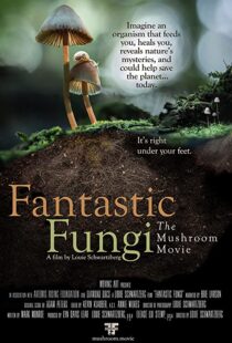 دانلود مستند Fantastic Fungi 2019100518-867404598