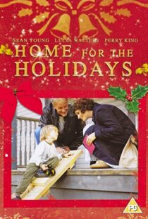 دانلود فیلم Home for the Holidays 2005101843-1134885405