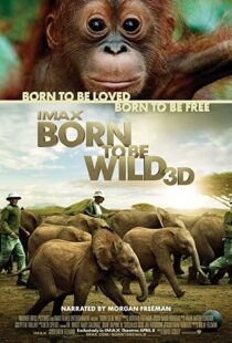 دانلود مستند Born to Be Wild 2011110503-2062864005