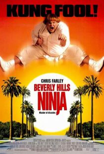 دانلود فیلم Beverly Hills Ninja 1997111541-666804307