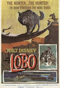 دانلود فیلم The Legend of Lobo 1962111441-449103296
