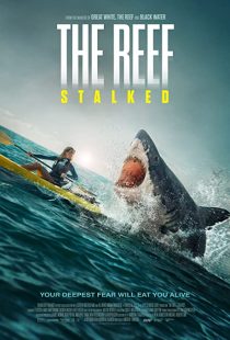 دانلود فیلم The Reef: Stalked 2022234702-1962987932