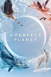 دانلود مستند A Perfect Planet231098-446536790