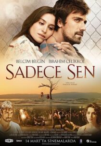 دانلود فیلم Only You 2014369345-1157101767