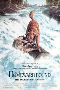 دانلود فیلم Homeward Bound: The Incredible Journey 1993371118-827232470