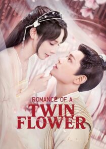 دانلود سریال Romance of a Twin Flower379211-1087386581