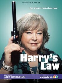 دانلود سریال Harry’s Law393952-443795693
