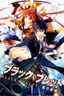 دانلود انیمه Black Bullet400454-457047258