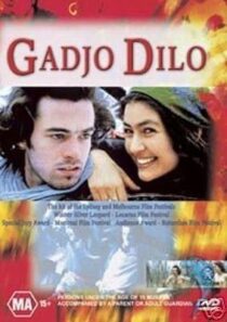 دانلود فیلم The Crazy Stranger 1997407241-858672507