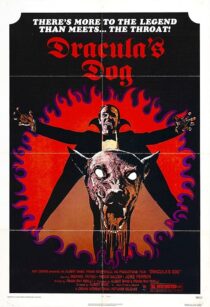 دانلود فیلم Dracula’s Dog 1977407625-1410027345