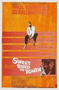 دانلود فیلم Sweet Bird of Youth 1962415738-1997065036