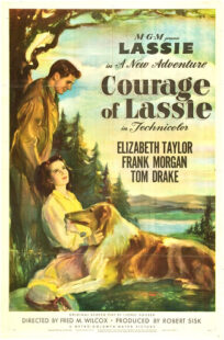 دانلود فیلم Courage of Lassie 1946417427-1704132919