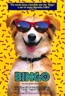 دانلود فیلم Bingo 1991417459-1730259690