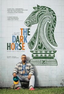 دانلود فیلم The Dark Horse 2014423794-709468153