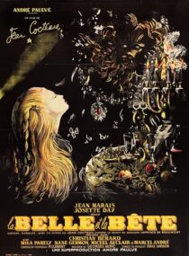 دانلود فیلم Beauty and the Beast 1946426235-1330176528