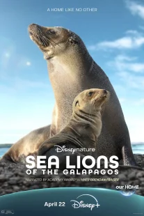دانلود مستند Sea Lions of the Galapagos 2025431056-650592868