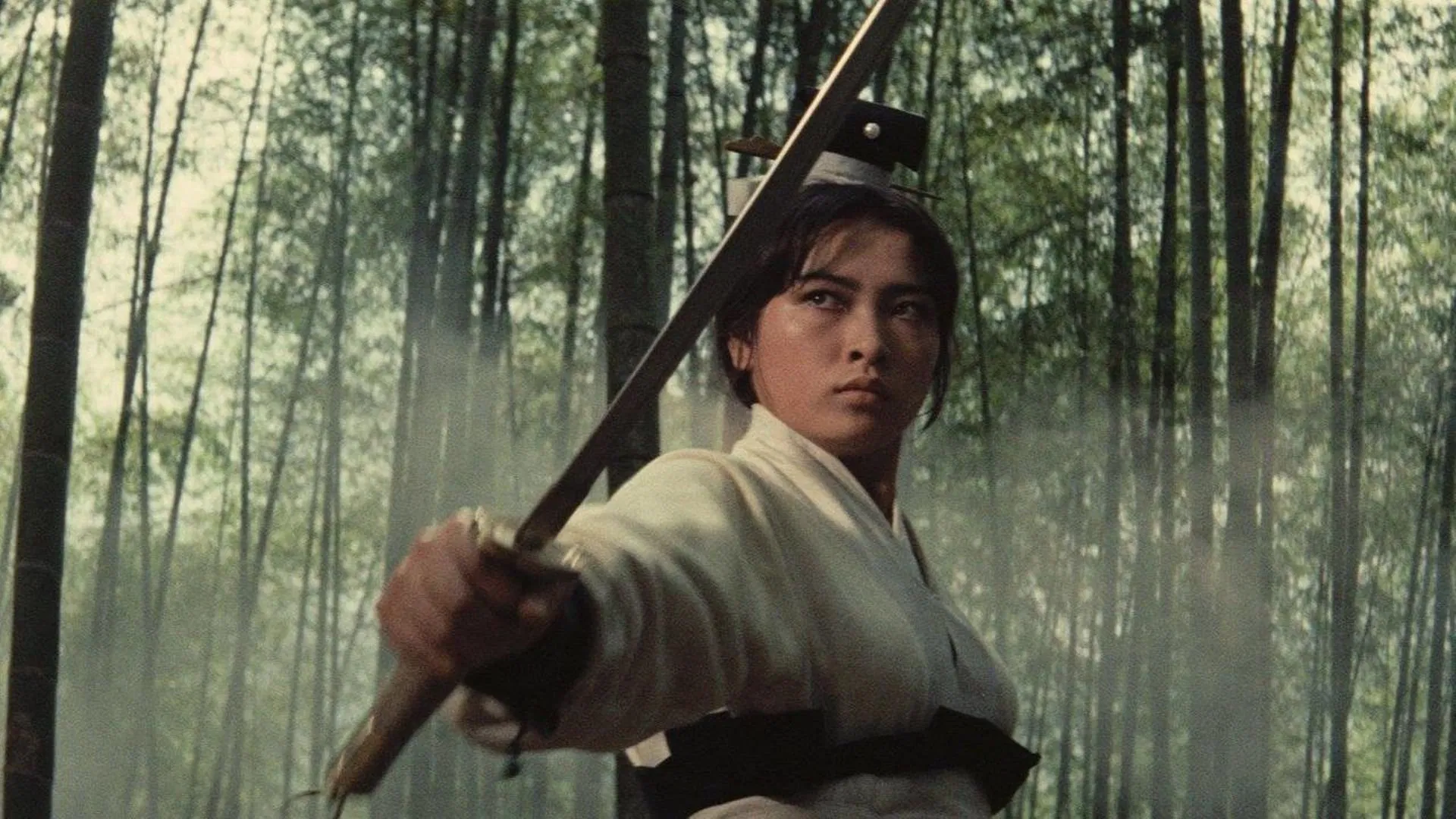 دانلود فیلم A Touch of Zen 1971