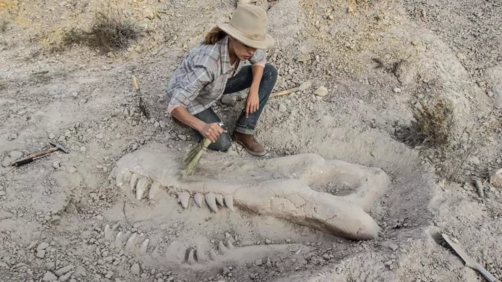 دانلود فیلم Valley of Bones 2017