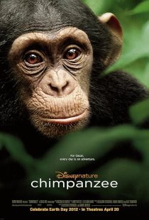 دانلود مستند Chimpanzee 2011451940-1166392564