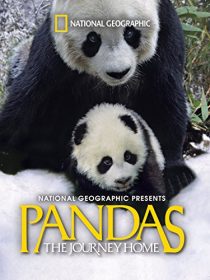 دانلود مستند Pandas: The Journey Home 2014451277-1649576653