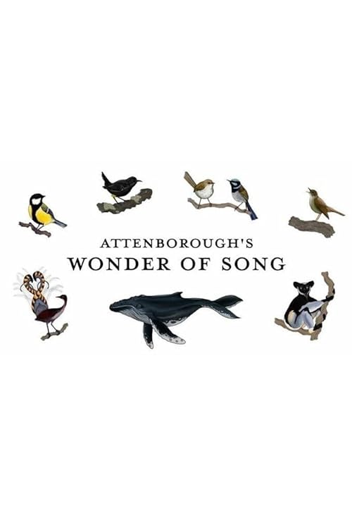 دانلود فیلم Attenborough’s Wonder of Song 2022