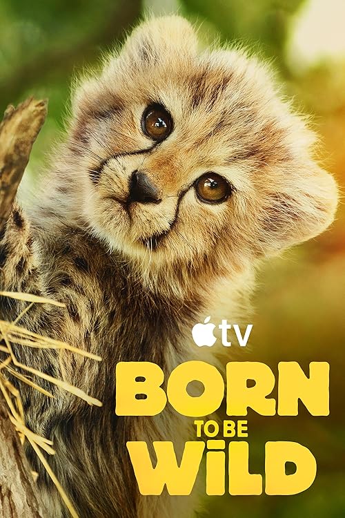 دانلود سریال Born to be Wild